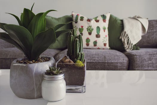 10 Budget-Friendly DIY Home Decor Ideas to Transform Your Space
