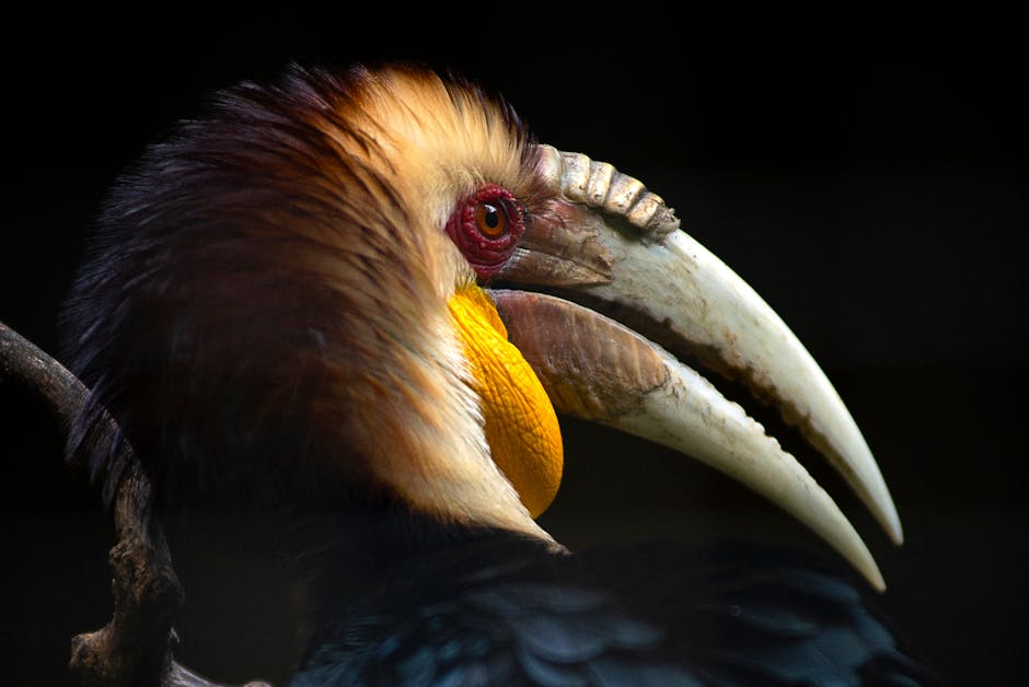 Biodiversity Under Threat: Protecting Earth's Rich Tapestry