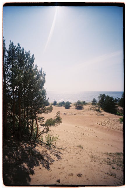 Cyberpunk 2077: Has Night City Finally Achieved Its Potential?