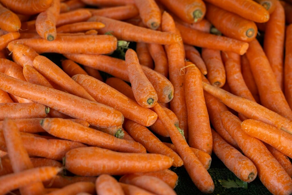Debunking Diet Myths: Separating Fact from Fiction