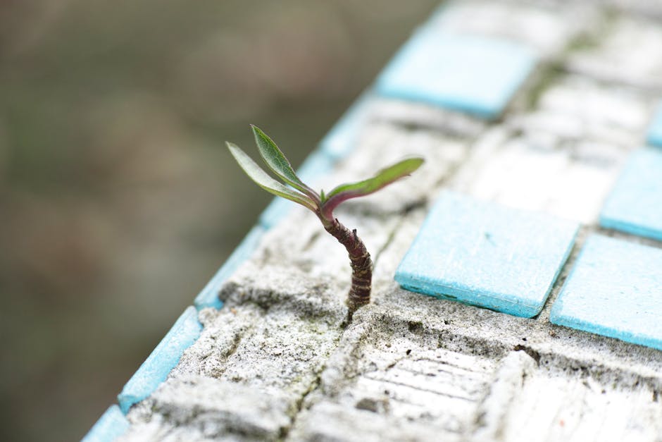How Small Businesses Can Survive a Recession: Practical Tips