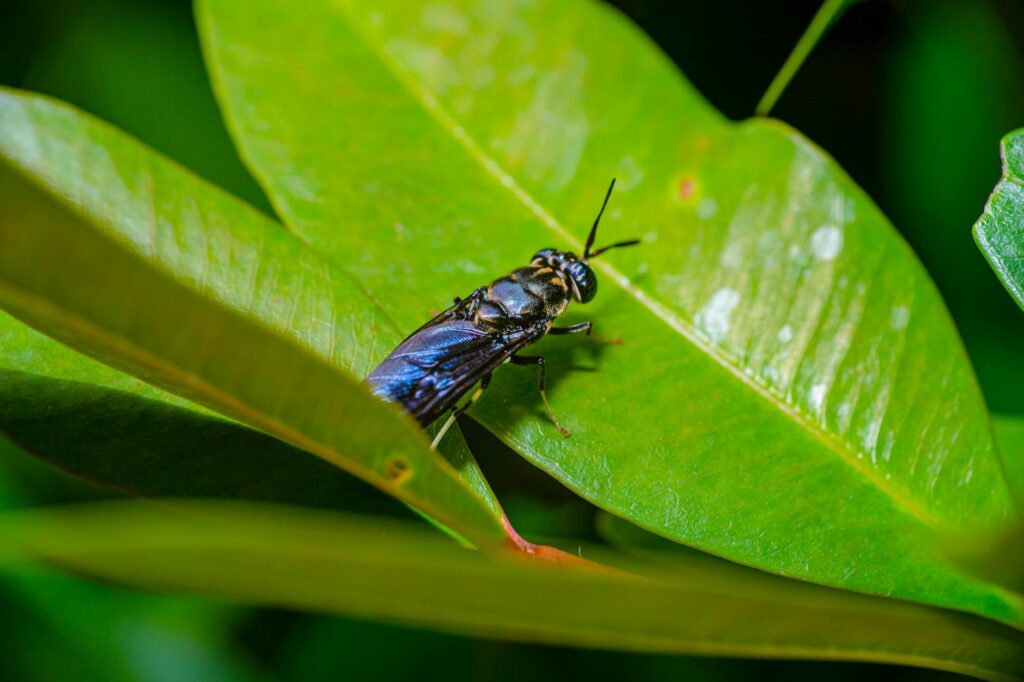 Protecting Our Planet: Biodiversity and Climate Interconnections