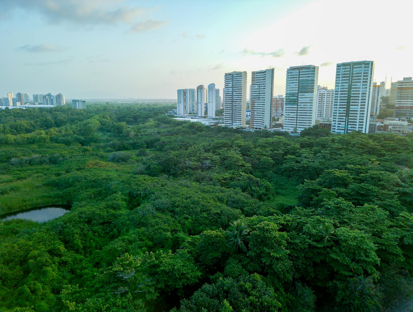 A stunning view of Fortaleza's skyline bordered by lush greenery, showcasing urban and natural harmony.