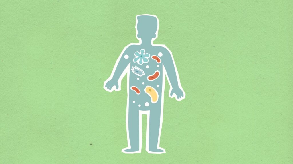 The Human Body Revealed: Advances in Medical Science