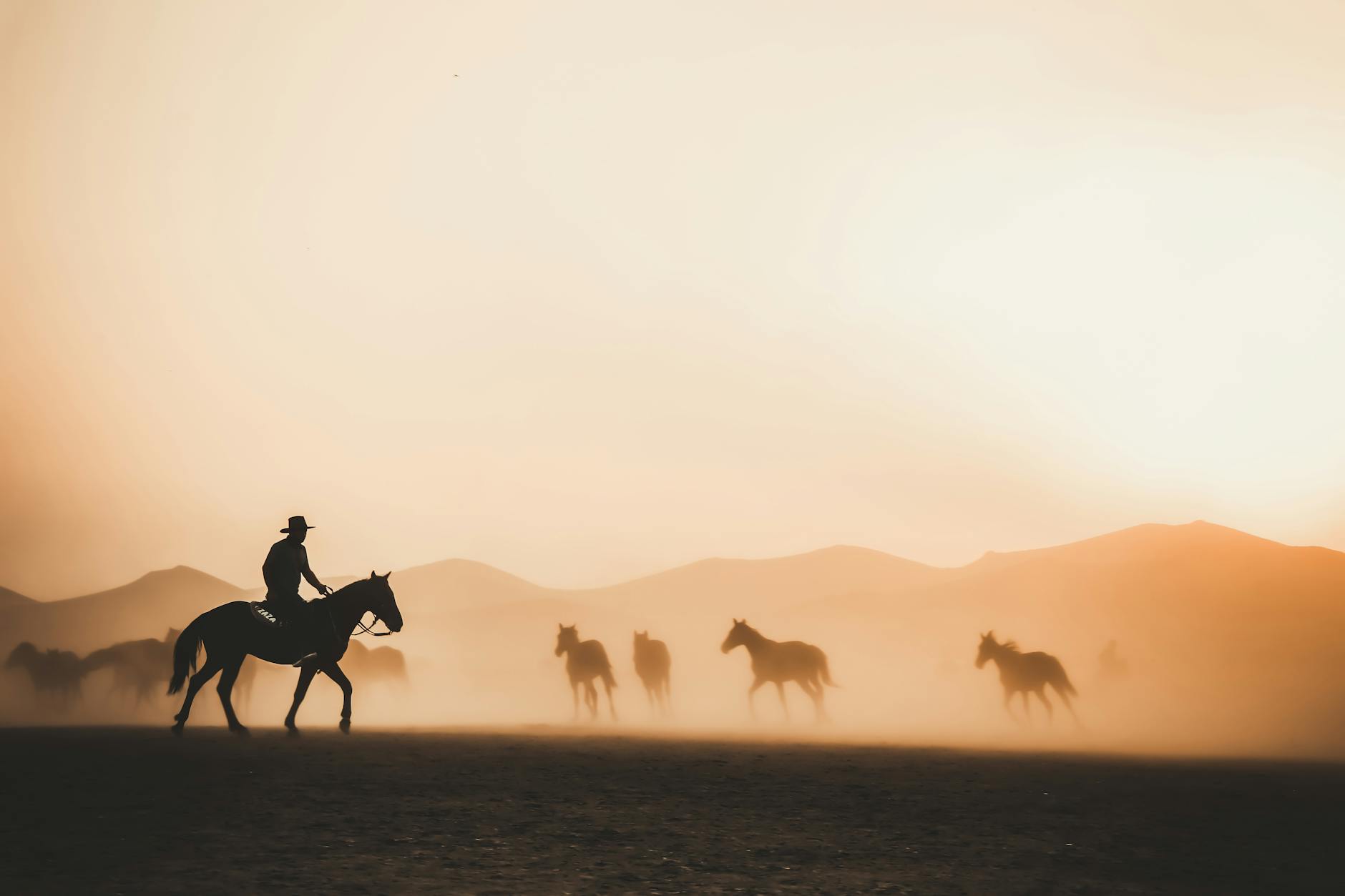 A cowboy rides among horses, silhouetted against a vibrant sunset in a dusty landscape.