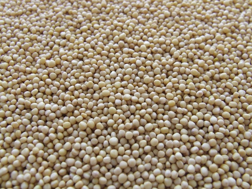 The Truth About Soy: Healthy or Harmful?